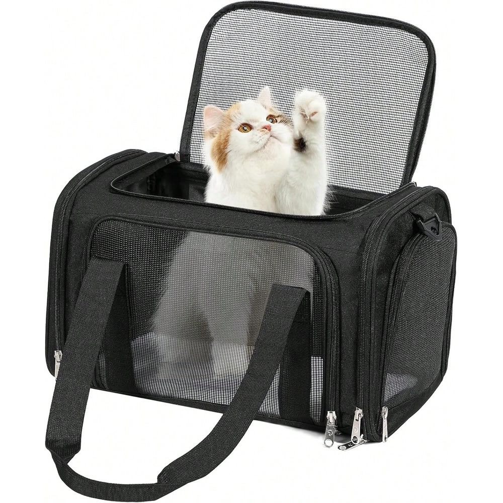 Foldable Pet Backpack Suitable - đánh giá và giá Foldable Backpack Small
